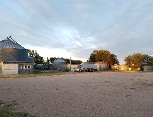 Holdrege Acreage, South of Holdrege